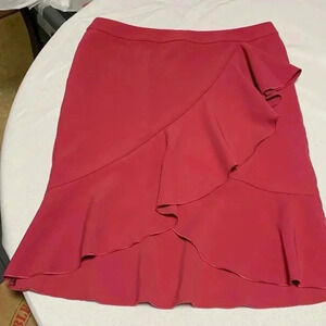 ANN TAYLOR Women’s Skirt, Excellent Condition.